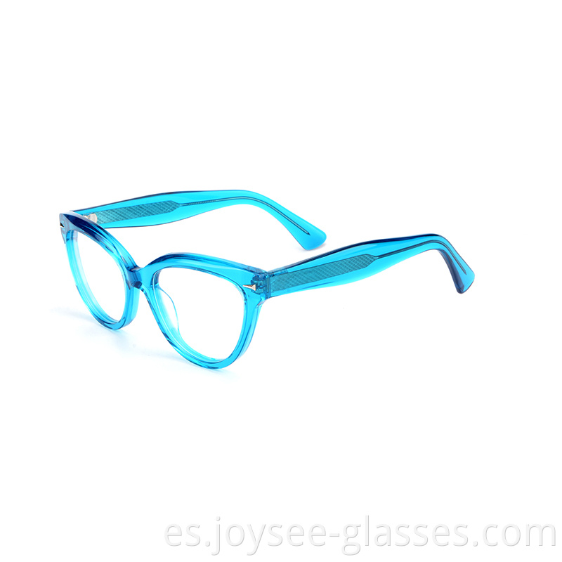 Oval Cat Eye Glasses 6